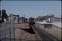 T08305.jpg