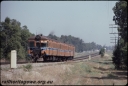 T08306.jpg