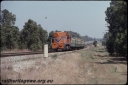 T08307.jpg