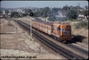 T08308.jpg