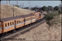 T08309.jpg