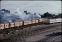T08311.jpg