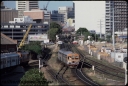 T08312.jpg