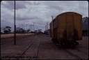 T08323.jpg