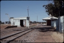T08335.jpg