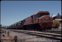 T08338.jpg