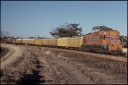 T08350.jpg