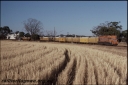 T08351.jpg