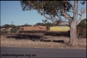 T08353.jpg