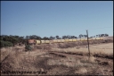 T08354.jpg