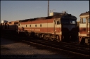 Filename=T08431.jpg
Filesize=208KiB
Dimensions=800x529
Date added=Apr 29, 2024 T08431.jpg
