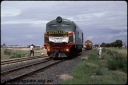 Filename=T08581.jpg
Filesize=252KiB
Dimensions=800x536
Date added=Apr 29, 2024 T08581.jpg