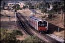 T08603.jpg