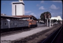 T08604.jpg