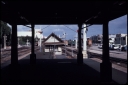 T08605.jpg