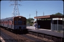 T08608.jpg