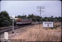 T08612.jpg
