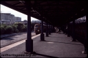 T08620.jpg