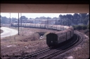 T08654.jpg