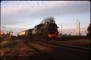 T08655.jpg