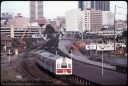 T08661.jpg