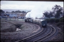 T08663.jpg