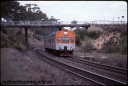 T08664.jpg