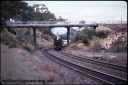 T08665.jpg