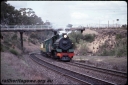 T08666.jpg