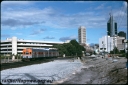 T08667.jpg