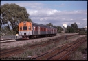 T08669.jpg