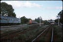 T08670.jpg