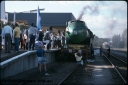 T08675.jpg
