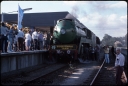 T08676.jpg