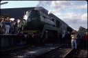 T08677.jpg