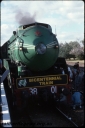 T08678.jpg