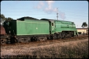 T08683.jpg