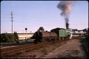 T08685.jpg