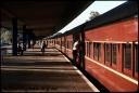 T08686.jpg