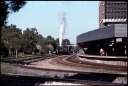 T08688.jpg