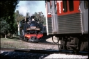 T08690.jpg