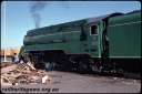T08692.jpg