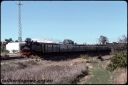 T08693.jpg