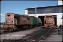 T08697.jpg