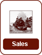 Sales